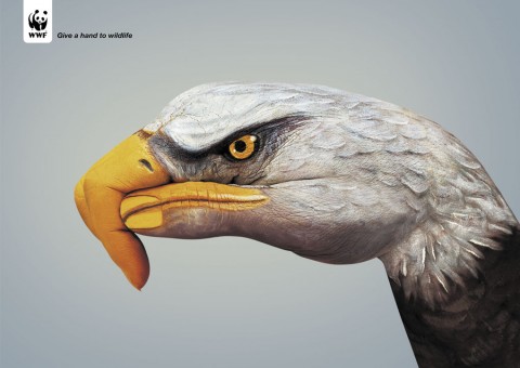 WWF EAGLE